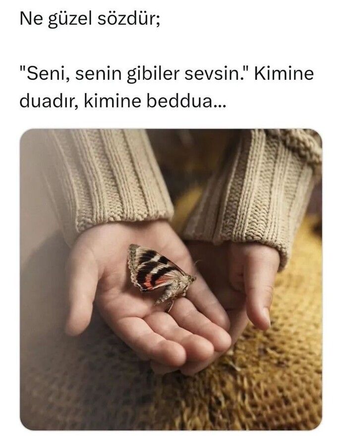 Seni senin gibiler sevsin sözü bir ceza mı dua mı?