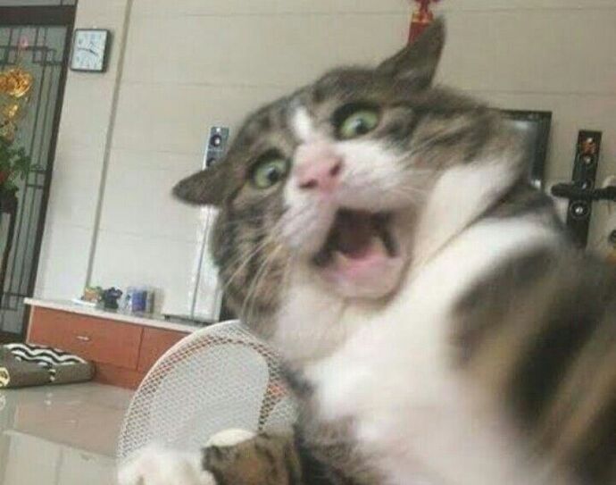 Şeyma Subaşı, yüksek standart için günlük 20 bin TL harcamak yeter diyor. Türkiye şartlarında senin günlük bütçen ne 😜?