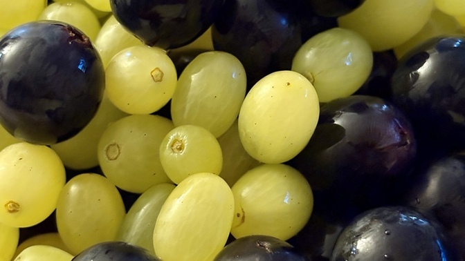 Üzüm 🍇 sever misin Siyah mı? Beyaz mı? Hangisini daha çok seviyorsun 🫶🏼 ?
