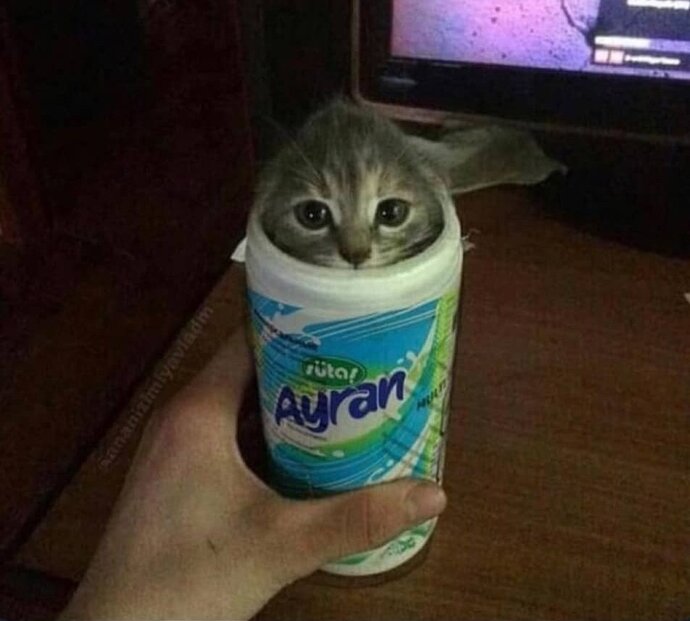Peki ayranlar da içildi mi 😂😂?