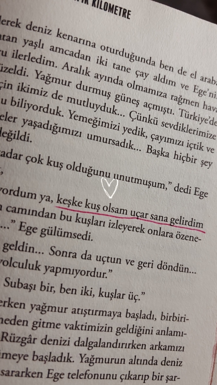 Son okuduğunuz kitap hangisiydi ve size ne hissettirdi?