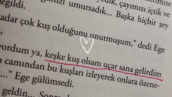 Son okuduğunuz kitap hangisiydi ve size ne hissettirdi?