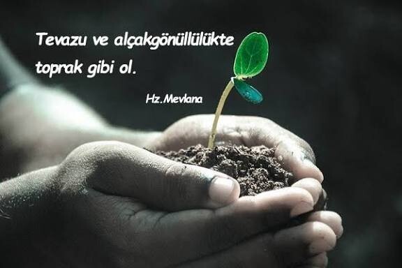Alçak gönüllü olmayı başarabiliyor musunuz?