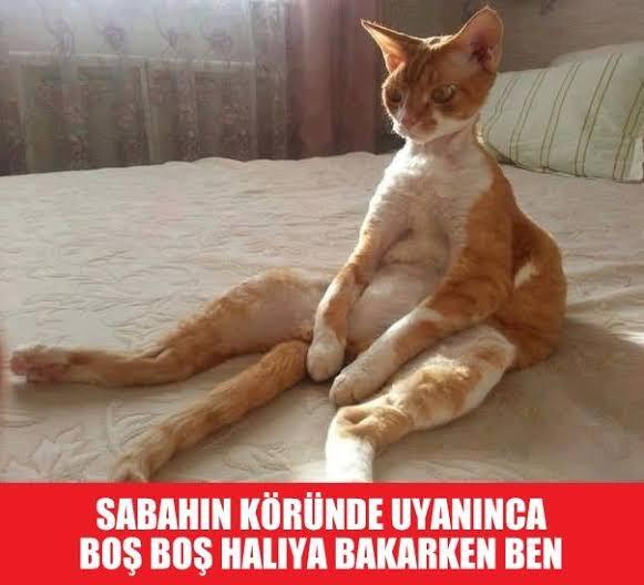 Gune ne ile baslarsiniz ve genelde kacta uyanirsiniz?