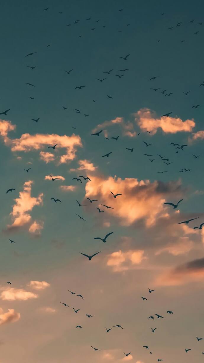 Insan elde edemediği şeyin tutkunu mu olur ❤️🔥?