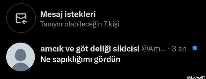 Türk erkekleri niye abaza yabancılar değil?