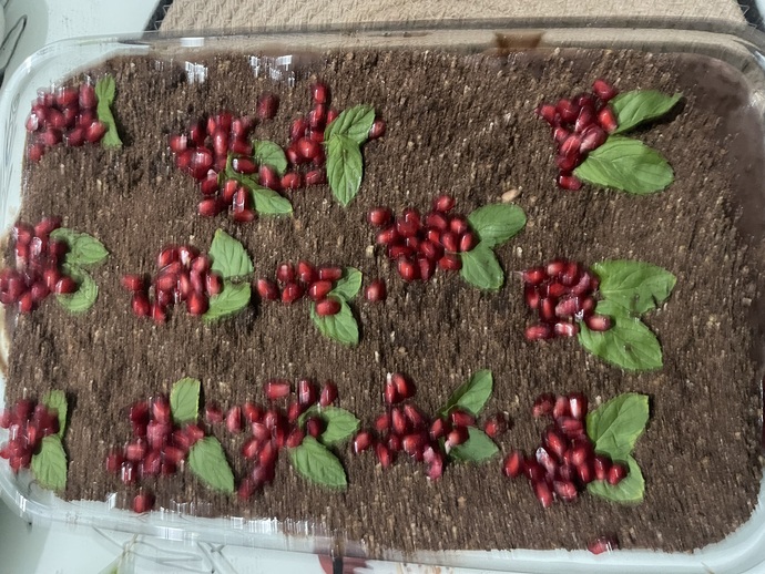 Hadiiii toprak görünümlü pasta yiyoruz arkadaşlar 🥰🥰😀?