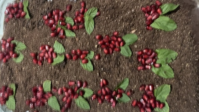 Hadiiii toprak görünümlü pasta yiyoruz arkadaşlar 🥰🥰😀?