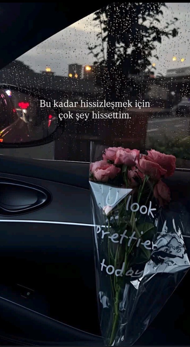 Hisleriniz ne durumda?