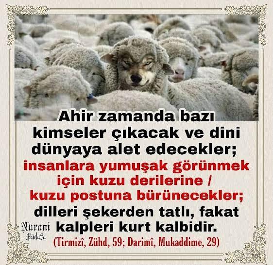 Cübbeli neden yalarız yutarız diyor?