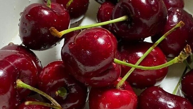 Bu meyvenin adı nedir?