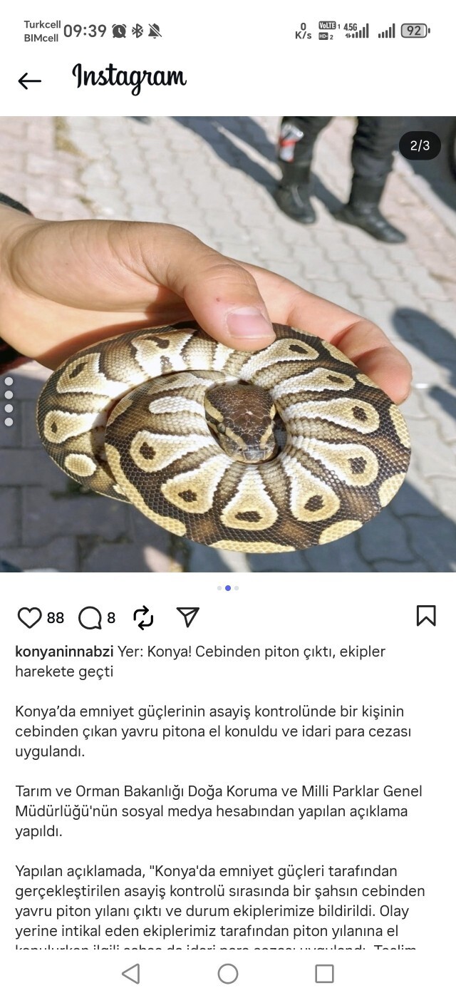 Cebinizde en fazla ne taşıyabilirsiniz?