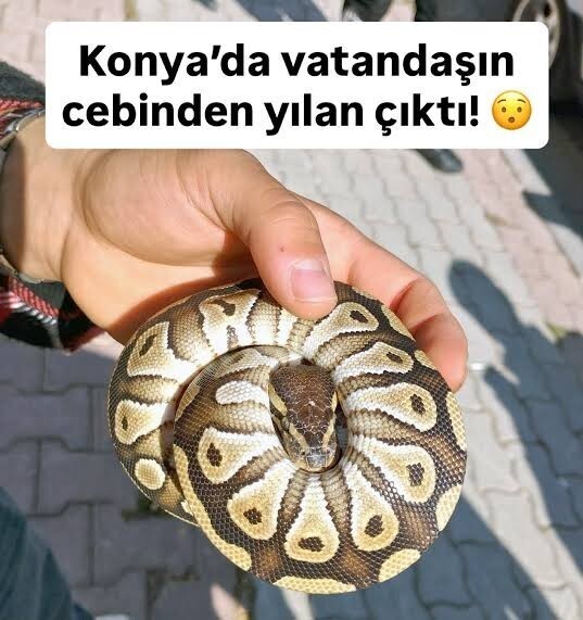 Cebinizde en fazla ne taşıyabilirsiniz?