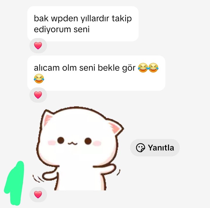 Uzun zamandır beklediğiniz biri var mı?