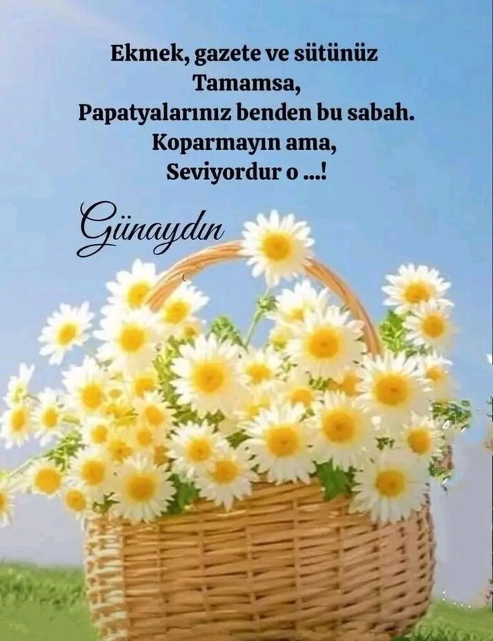 Günaydınlar olsun 🥰 seviyordur değil mi 🙃?