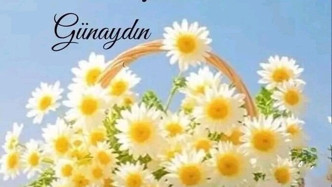 Günaydınlar olsun 🥰 seviyordur değil mi 🙃?