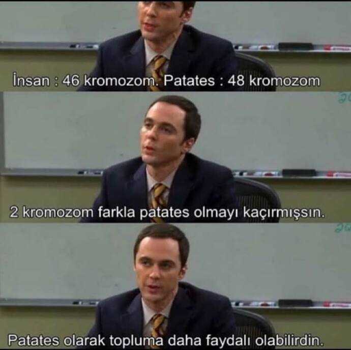 İnsan olmak yerine ne olmak isterdiniz?