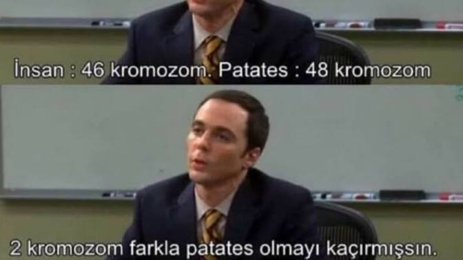 İnsan olmak yerine ne olmak isterdiniz?