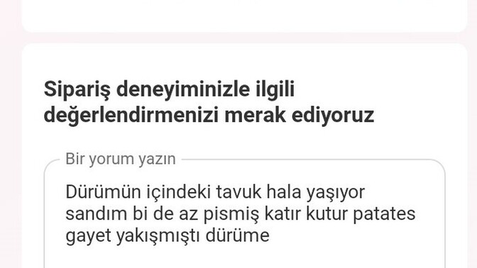 İşletmelere ve trendyolda yorum yapıyor musunuz?