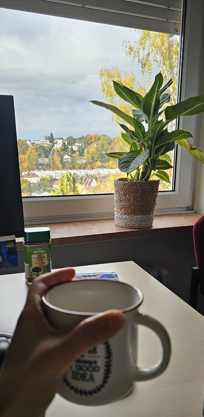 Manzaramın güzelliği 🌳🌳🍁🍂