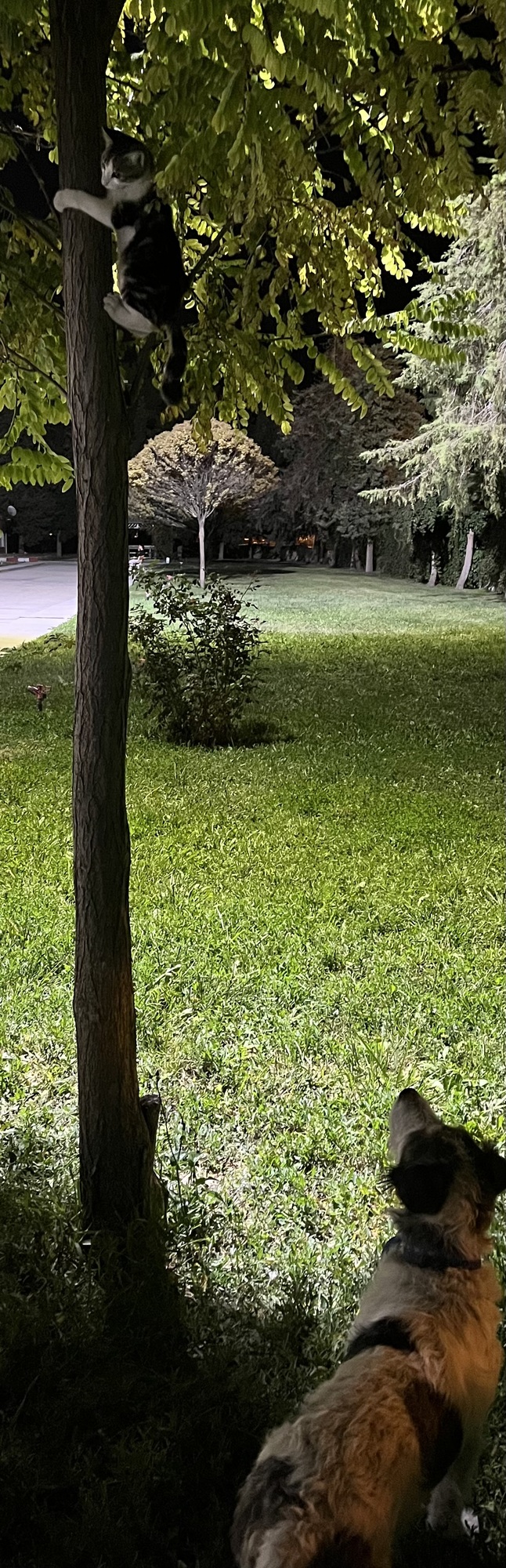 Hobilerin nelerdir?