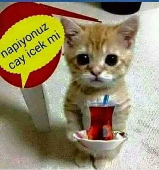 Akşam çayını içtiniz mi, onu nasıl içtiniz neyle içtiniz?