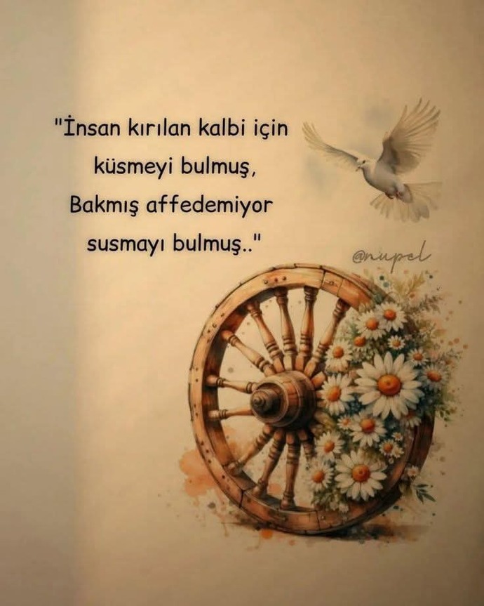 Ev yaşadığın kişi ile mi şekillenir?