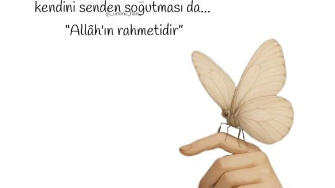 KS Canlar Öyle midir?