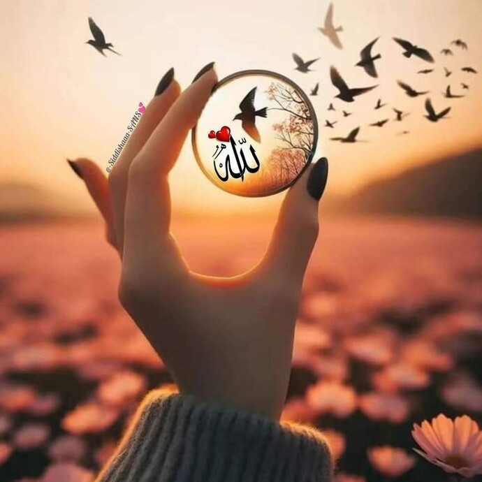 Gü nay dınnnn 😍 🥰 ❤️ Hayatı yaşamaya değer kılan nedir sizin için?