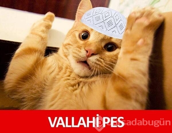 Gönlümüzü Allah'a verirsek Allah da gönlümüze göre verir mi?