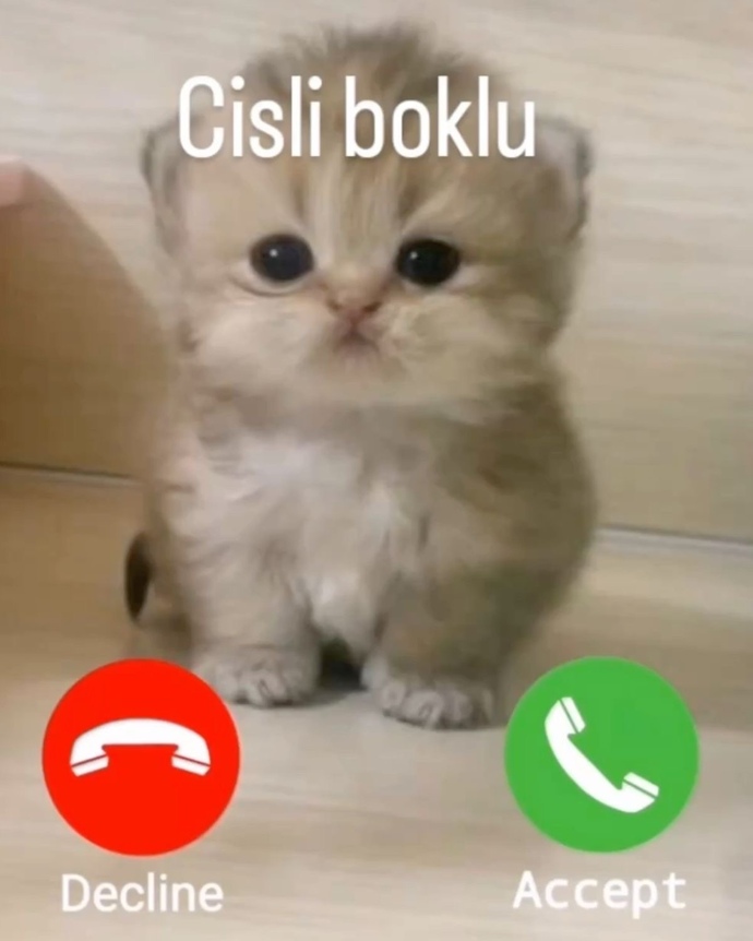Sevgilini nasıl kaydedersin?