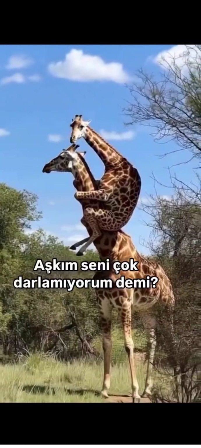 Sevgilinizi darlarmısınız?