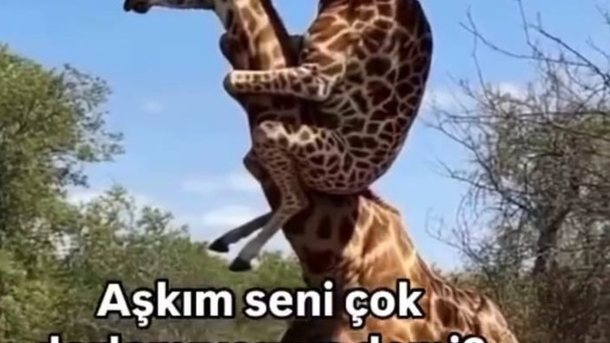 Sevgilinizi darlarmısınız?