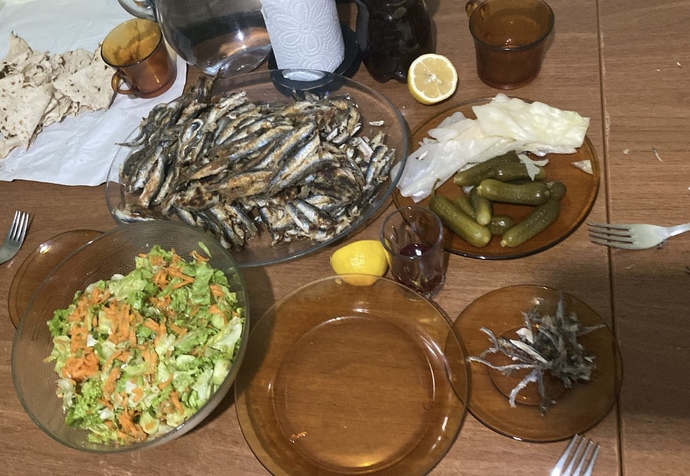 Hamsi severmisiniz?