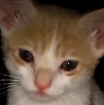 Terk etmek sizin için ne kadar kolay?