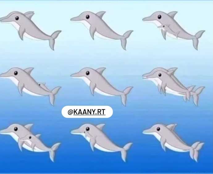 Görselde kac yunus var ? bakalim ne kadar dikkatlisin?