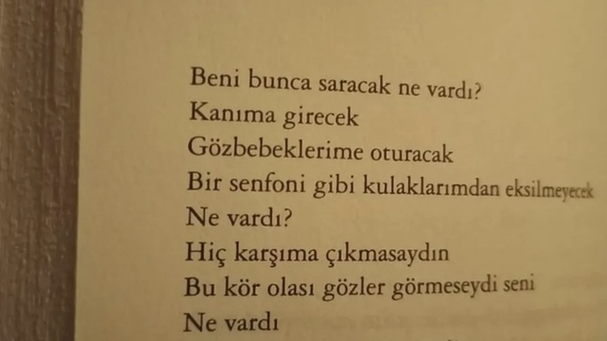 Güzel sever misiniz?