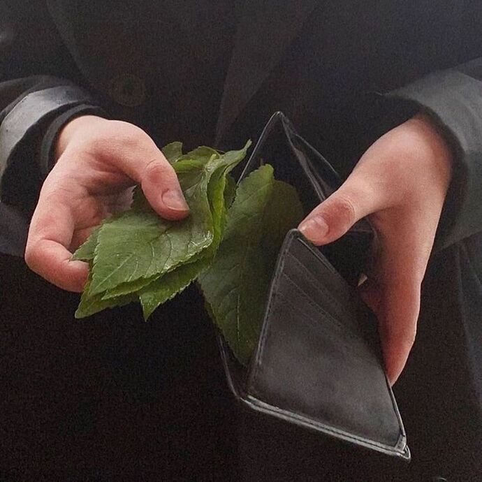 ödemeyi yaprakla yapsak biter miydi bu sömürge