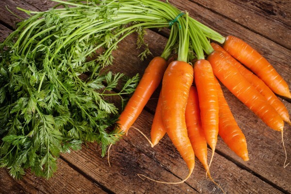 Havuç 🥕 Sever misiniz?