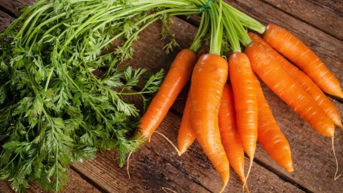 Havuç 🥕 Sever misiniz?