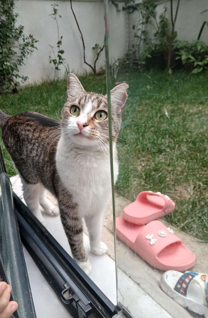 Söyle tatlı bir şey buldum ben bakar mısınız?
