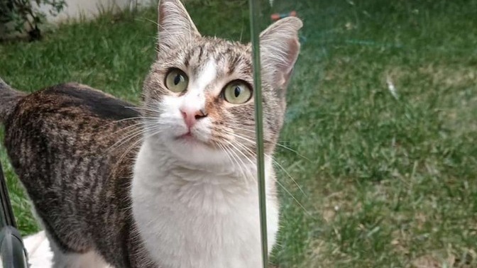Söyle tatlı bir şey buldum ben bakar mısınız?
