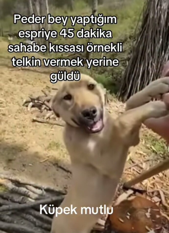 Ebeveynleriniz sosyal medya ortamına/diline ne kadar hakim?