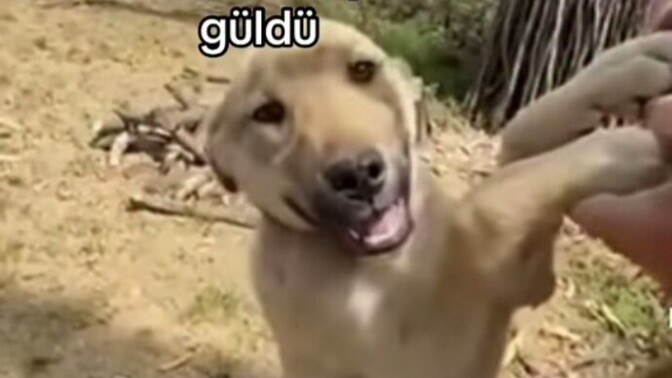 Ebeveynleriniz sosyal medya ortamına/diline ne kadar hakim?