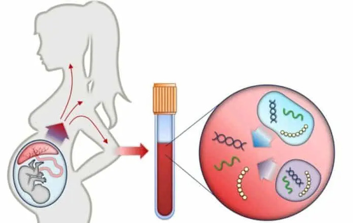 Doğum sonrası DNA testi mecbur olsa ne gibi sonuçlar ortaya çıkar?