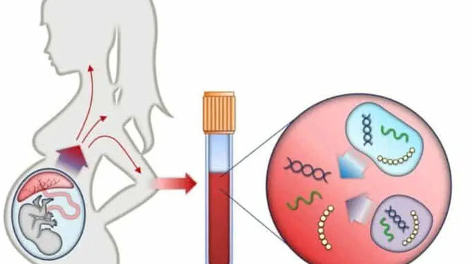 Doğum sonrası DNA testi mecbur olsa ne gibi sonuçlar ortaya çıkar?