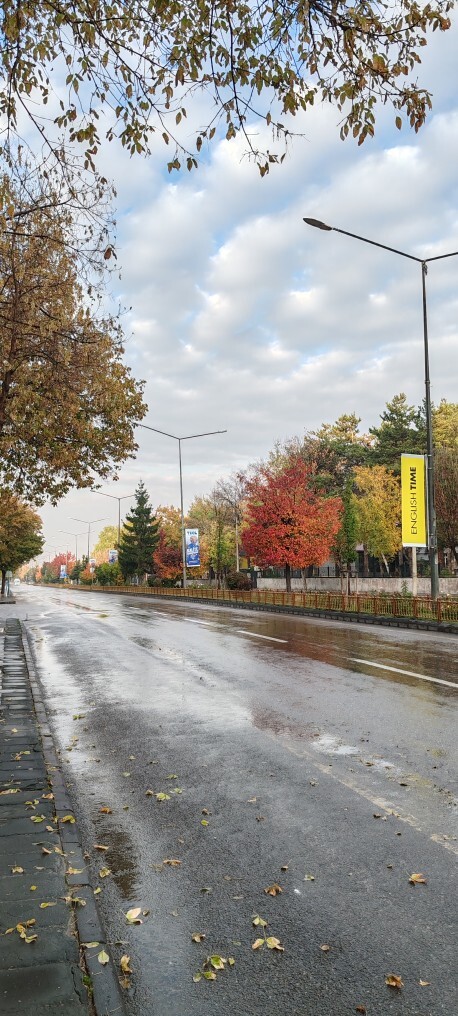 Sonbahar manzaralarını sever misiniz?