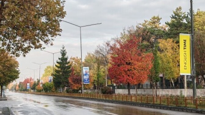 Sonbahar manzaralarını sever misiniz?