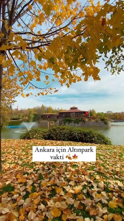 Mevsimlerin ve hayatın aslında bizlere mesajlar verdiğini düşünüyor musunuz?