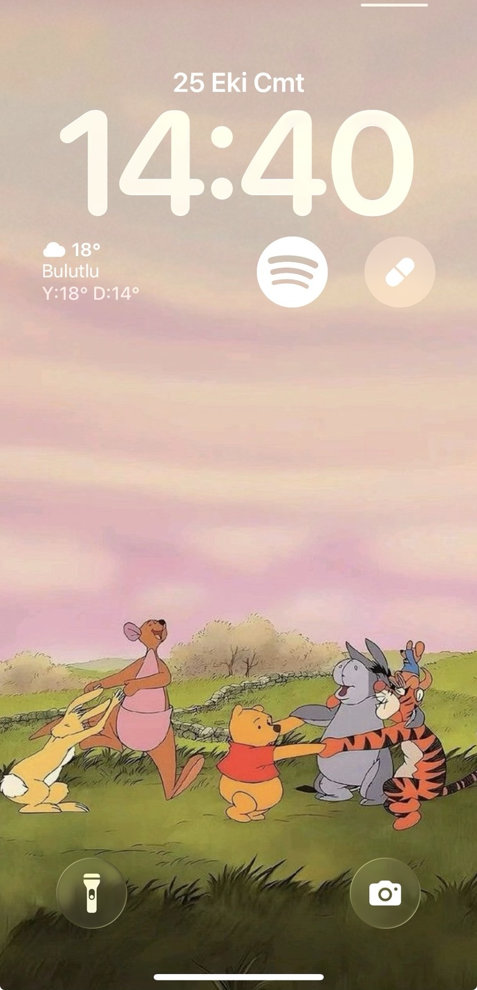 Telefon ekranınızda ne var 🌷🙂‍↔️?